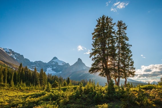 Lokasi Kemah Paling Keren di Berbagai Negara - Jasper National Park - Kanada